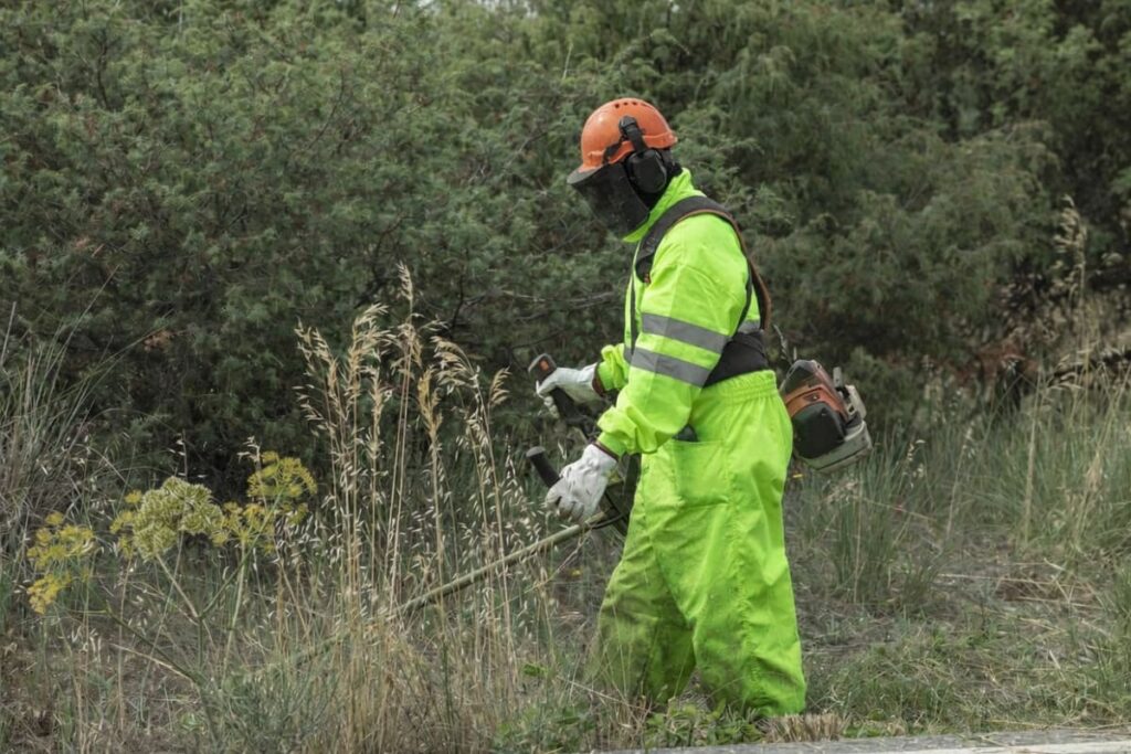 Desbroce preventivo: prepara tu terreno para el invierno